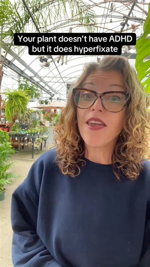 Plants don’t multitask — they hyperfixate. When they’re focused on roots, leaves, or blooms, the rest slows down. That’s not a problem, it’s just how energy balance works. #planthacks #planttok #plantparent #planttips #p~ | Lifewithashleyanita