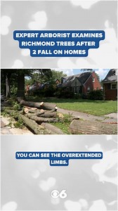 Two large city-owned oak trees fell on homes in a Richmond Northside neighborhood just before the Fourth of July, raising concerns among neighbors about the safety of other trees in the area. After CBS 6 highlighted neighbors' concerns, the city promised to conduct an extensive review and assessment of mature trees in the area in the coming weeks. On Thursday, CBS 6 learned that review was now underway, and six trees had already been identified for removal. CBS 6 investigative reporter Melissa H