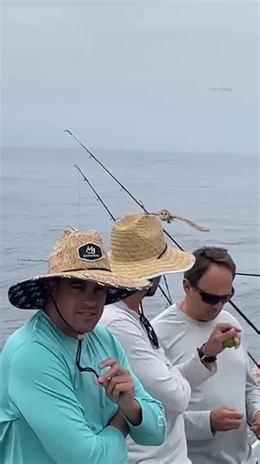 11K views · 120 reactions | This boat trip just got better  | Daily Mail Entertainment | Facebook