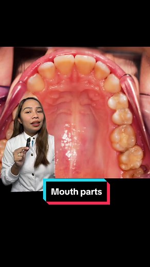 Understanding Mouth Parts with Doc Ella Roxas