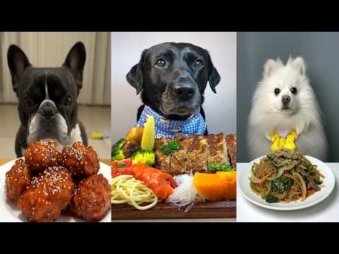 Ultimate Dog Food Challenge| Black Labrador vs White Pomeranian & French bulldog eating Luxury Meal