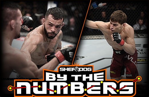By The Numbers: Movsar Evloev vs. Dan Ige