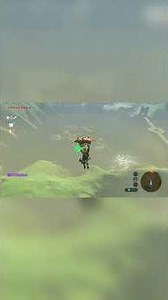 A Wife Washed Away The Legend Zelda Breath of the Wild
