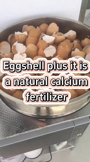 Make your own calcium fertilizer with eggshells #garden #gardening #gardeningtips #planting #farming #fertilizer #eggshell | Agriculture 2.1