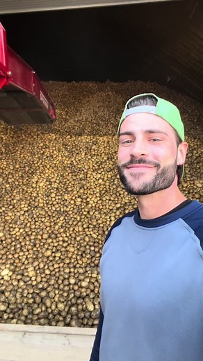 Trying to solve our potato storage issues!! Did you know there are hundreds of potato varieties?! #potatotiktok #potato #farmtok #vegetables #farming #crop #agriculture