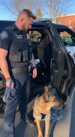 Police K-9 REFUSES to Get in the Car 😭🐶🚔 (He’s the Boss Now)