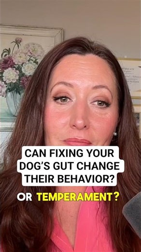 Can gut health affect your dog behavior and temperament