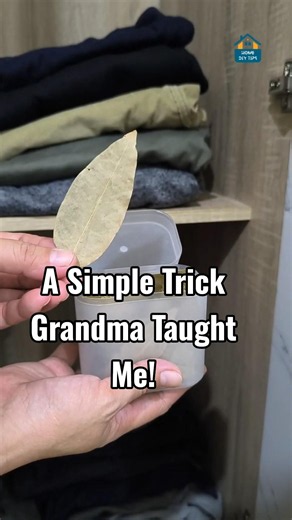Grandma’s Simple Bay Leaf Trick for Fresh-Smelling Clothes!
