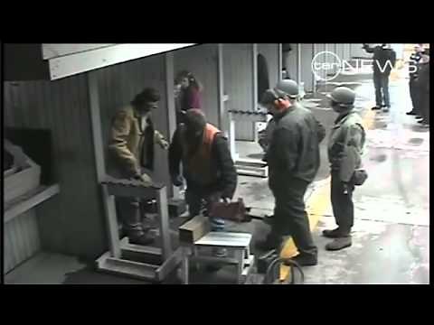 CCTV footage of suicide pact twins