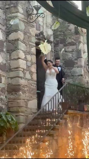 Petra Koslowski on Reels