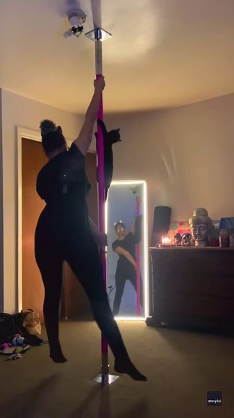 Cat Practices Pole-Dancing Alongside Owner