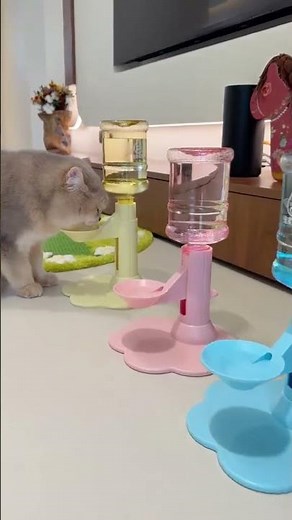 Make Your Cat Drink More Water With This Cute Dispenser #cat #pets