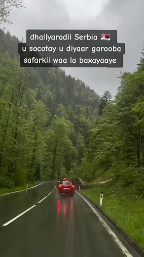 wixii faahfaahin ah telegram channel ka profileka saaran .. 🇷🇸 #somali_travel🌎 #foryou #serbia #somalia🇸🇴 #somaliland #somaliarmy #somalitiktok #maalmo2 #europe #canada_life🇨🇦