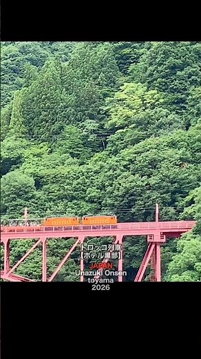 トロッコ好き大興奮！ホテル黒部から絶景のトロッコ電車🚂