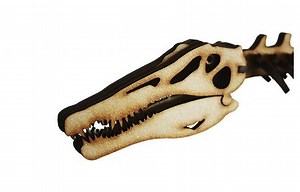 Spinosaurus Swimmer Theory Model Kit – Wonder Artistic Models