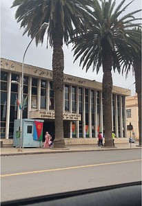 Discovering the Beauty of Eritrea's Palm Trees