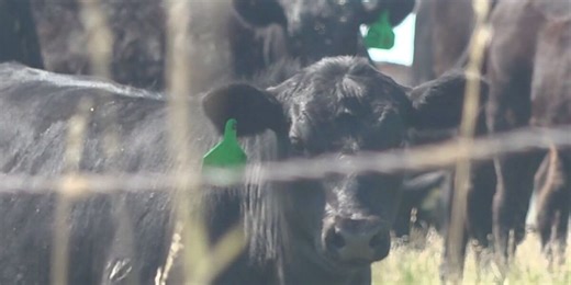 Several bankers report rural economy was in a recession according to university survey