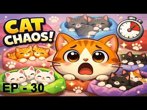 Cat Sort Gameplay 🐱🛏️ | Cute & Cozy Puzzle Game | Relaxing Brain Game - EP 30