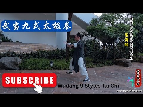 武当九式太极拳 Wudang Nine-Form Tai Chi