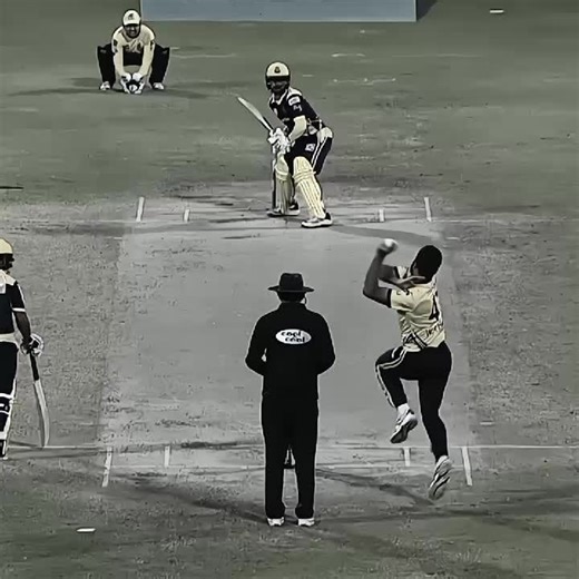 Wiki Revenge Overview