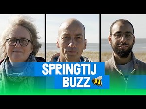 Springtij BUZZ - 3 dagen Springtij