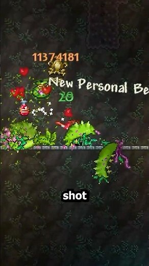 The CRAZIEST Damage You Can Deal in Terraria!