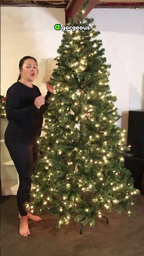 North Valley Spruce 6.5ft Pre-Lit Christmas Tree Review