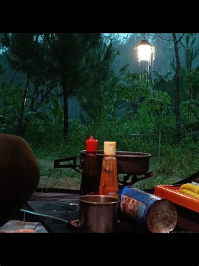 Rain Camping ASMR in Forest Hills - Part 2