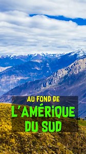 Attaque de Puma : COMMENT SURVIVRE ?! | Poisson Fécond