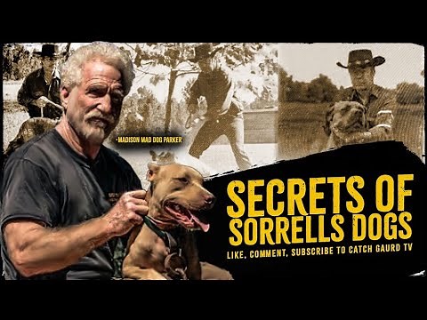 INTERVIEW Madison Parker || SECRET To SORRELLS Dogs #MadisonParker #BertSorrells #Pitbull #Bloodline