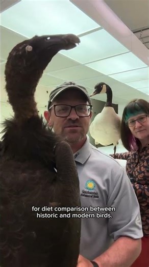 You BETTER listen to Brian and Christina talk about birds at the National Museum of Natural History