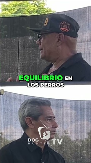 ​¡Así se selecciona al perro de trabajo perfecto! 🐕‍🦺🔍