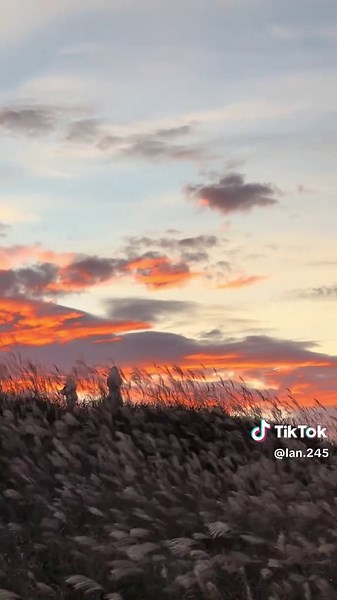 Trả mây về trời - Trả gió về đâu 🙃