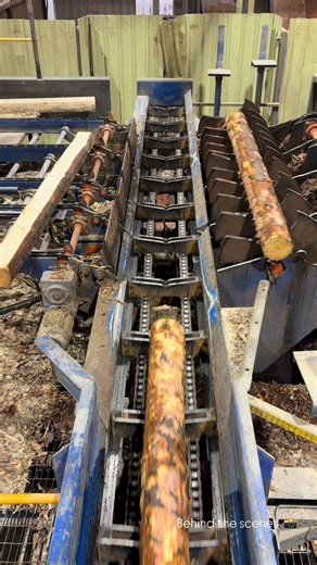 Behind the Scenes at the Sawmill
