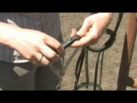 How to Attach a Snaffle Bit