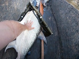 David Watmough | Big manaaaaa Goliathtigerfish on the boat well done boys team work makes the dream work 😉😍 Part 3 of 3 🤩... | Instagram
