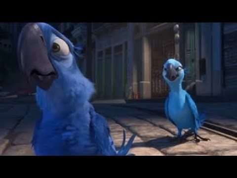 Blu And Jewels Arguement