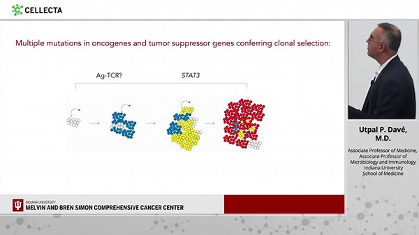 Dissecting the role of T-cell receptors in T-cell large granular lymphocytic leukemias