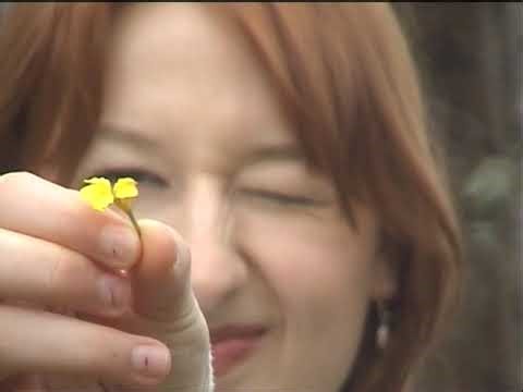 Lunic - Simple Nights (Official Visualiser)