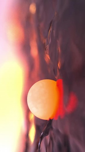 Soothing 3D Swimming Animation with Cinema 4D & Octane Render