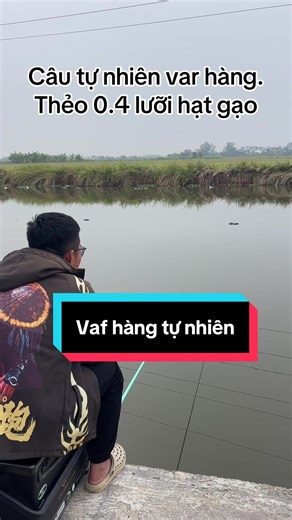 Hành trình giải cứu cá đầy thú vị