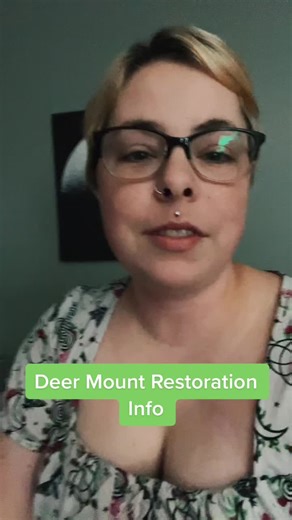 Deer Mount Restoration Tips and Techniques