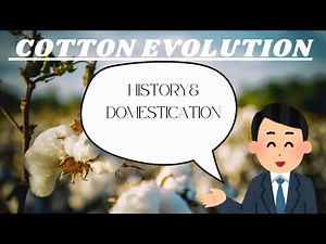 Evolution of cotton. History, domestication full video