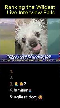 Funniest Awkward Interviews Caught on Camera