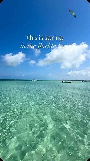 Spring in the Keys is showing off! ☀️🌊 The perfect time to soak up the sun before the summer heat kicks in. 🌴 Hot days, cool breezes 🌊 Fewer crowds now that spring break is over ⚓ The calm before hurricane season Nothing beats this kind of day in paradise! 🌅✨ 🎥: @whodatcharterskw #FloridaKeys #SpringVibes #IslandLife #OceanViews #BeachDays #ParadiseFound #SaltLife #CoastalLiving | Florida Keys Travel