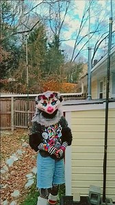 they are not the same 😔#furry #fursuit #alterhuman #therian