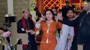 893K views · 10K reactions | Dhola Sanu Chorya Haai Kachi Sharab Wango _ Mehak Malik _ Dance Performance 2024 | Shaheen Studio Dance | Facebook