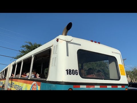 Ex-AC Transit 1989 New Flyer D60 1806 EXHAUST GO-PRO Ride Footage (8/5/2023)