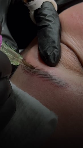 One of my favorite  Your guess?? —————————————————— Want to learn simple but powerful tips? Join our Nano Brows hands-on training in California. We teach it all—from exclusive techniques to confidence-building tricks.  Limited spots per group — DM “CALIFORNIA” to get full details. December classes are already full. Now booking for January! | Deluxe Brows - Microblading | Facebook