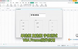 vba 字体测试 单选框 复选框的应用